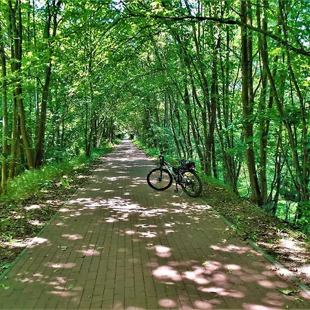 Z Widokiem Na Jezioro, Borowno Wielkie, Kaszuby, Pomorskie Skarszewy