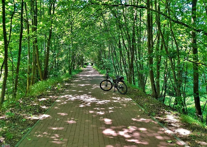 Z Widokiem Na Jezioro, Borowno Wielkie, Kaszuby, Pomorskie Skarszewy